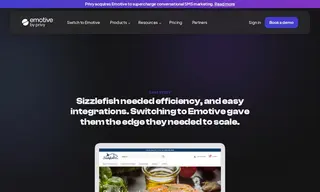 Preview of the Sizzlefish Case Study