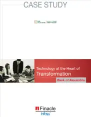 Preview of the Bank of Alexandria Case Study