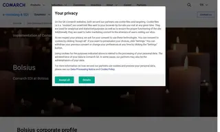 Preview of the Bolsius Case Study