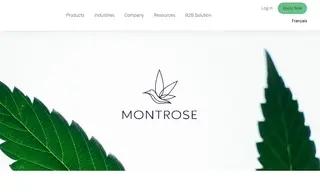Preview of the Montrose Case Study