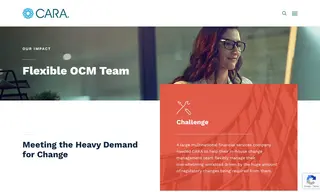 Preview of the Large Multinational Financial Services Company Case Study