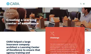 Preview of the Large Decentralized Insurance Firm Case Study