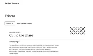 Preview of the Tricera Capital Case Study