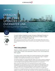 Preview of the Leading Energy Company Case Study