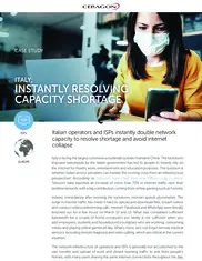 Preview of the Italian Service Providing Company Case Study