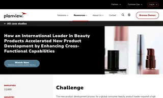 Preview of the Global Consumer Beauty Company Case Study