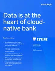 Preview of the Trust Bank Case Study