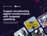 Preview of the Coppel Case Study