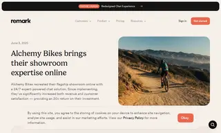 Preview of the Alchemy Bikes Case Study