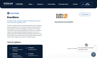 Preview of the EuroKera Case Study