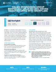 Preview of the Bonfiglioli Case Study