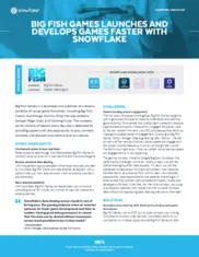 Preview of the Big Fish Games Case Study