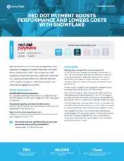 Preview of the Red Dot Payment Case Study