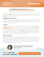 Preview of the Camino Law Firm Case Study