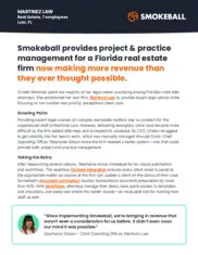 Preview of the Martinez Law Firm Case Study