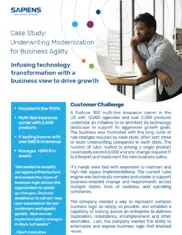 Preview of the Fortune 100 Multi-line Insurance Carrier Company Case Study