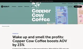 Preview of the Copper Cow Coffee Case Study