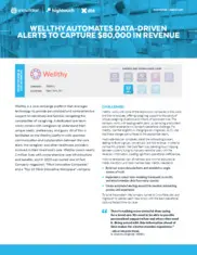 Preview of the Wellthy Case Study