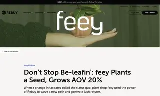 Preview of the Feey Case Study