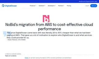 Preview of the NoBid Case Study