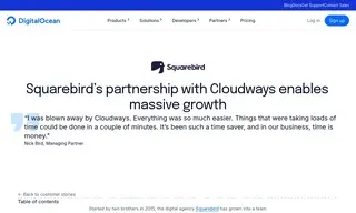 Preview of the Squarebird Case Study