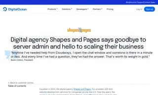 Preview of the Shapes and Pages Case Study