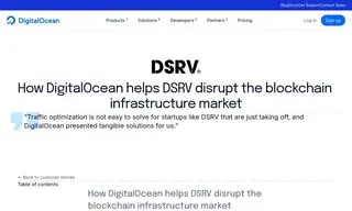 Preview of the DSRV Case Study