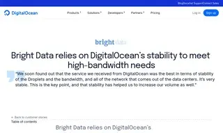 Preview of the Bright Data Case Study