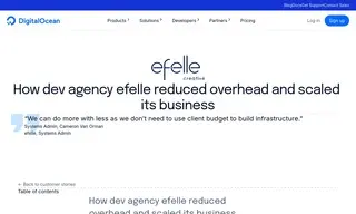 Preview of the efelle creative Case Study