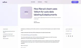 Preview of the Narya.AI Case Study