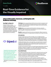 Preview of the Biped.ai Case Study
