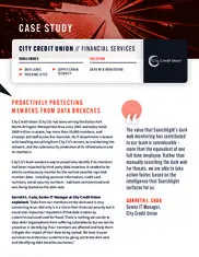 Preview of the City Credit Union Case Study