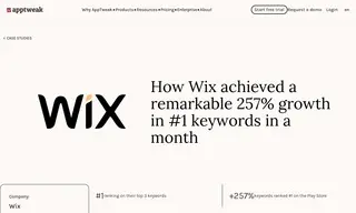 Preview of the Wix Case Study