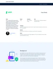 Preview of the Zilch Case Study