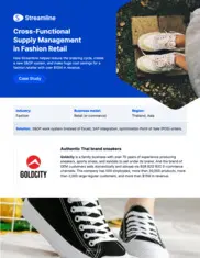 Preview of the Goldcity Case Study