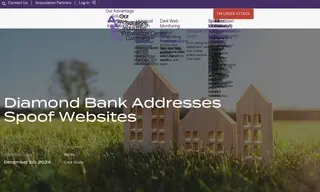 Preview of the Diamond Bank Case Study
