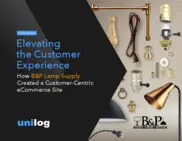 Preview of the B&P Lamp Supply Case Study