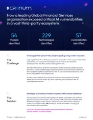 Preview of the Leading Global Financial Services Organization Case Study