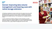 Preview of the Denner Case Study