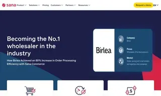 Preview of the Birlea Case Study
