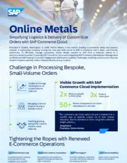 Preview of the Online Metals Case Study