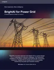 Preview of the Osmose Utilities Services, Inc Case Study