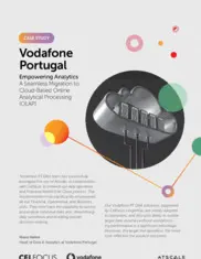 Preview of the Vodafone Case Study