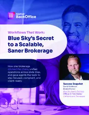 Preview of the Blue Sky Realty Partners Case Study