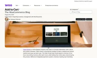 Preview of the cabinstreet.ca Case Study
