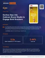 Preview of the Doritos Case Study