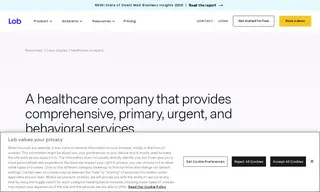 Preview of the Large Healthcare Company Case Study