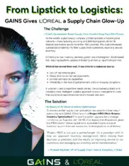 Preview of the L’Oréal Case Study
