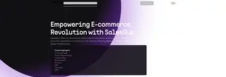 Preview of the SalesDuo Case Study