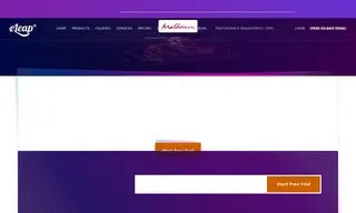 Preview of the Maldivian Airlines Case Study
